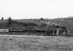 DH 4-8-4 #302 - Delaware & Hudson